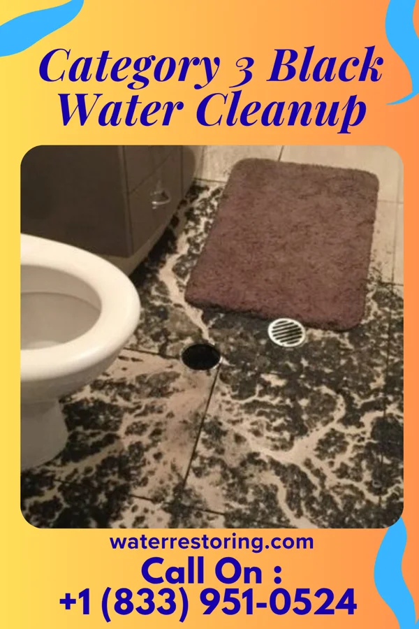 Category 3 Black Water Cleanup in Portage, UT